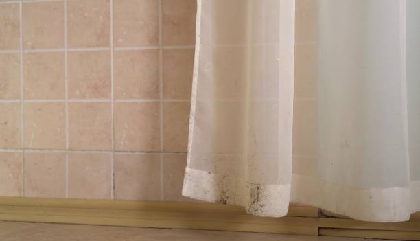 Best Mold Odor Removal Services  in Los Alamos, CA
