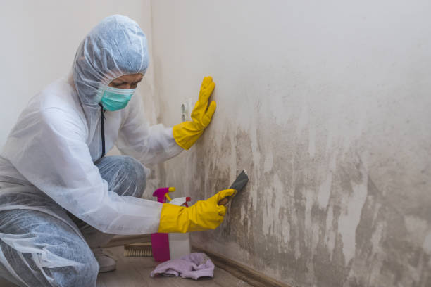 Best HVAC Mold Inspection and Cleaning  in Los Alamos, CA