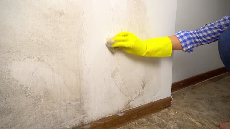 Best Crawl Space Mold Remediation  in Los Alamos, CA