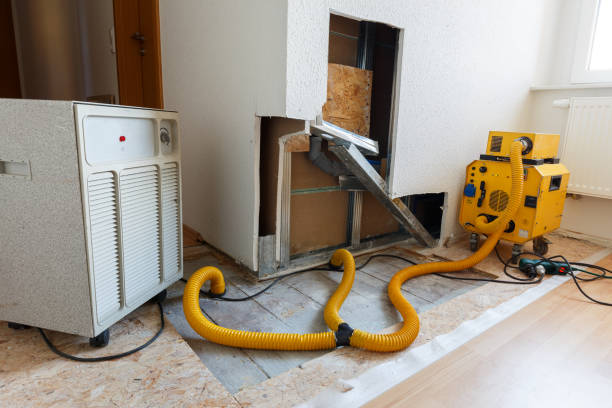 Best Asbestos and Lead Testing During Mold Inspection  in Los Alamos, CA