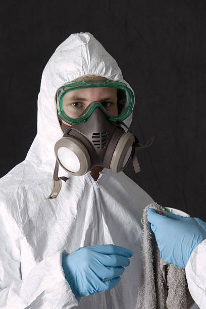 Best Comprehensive Air Testing for Mold Contaminants  in Los Alamos, CA